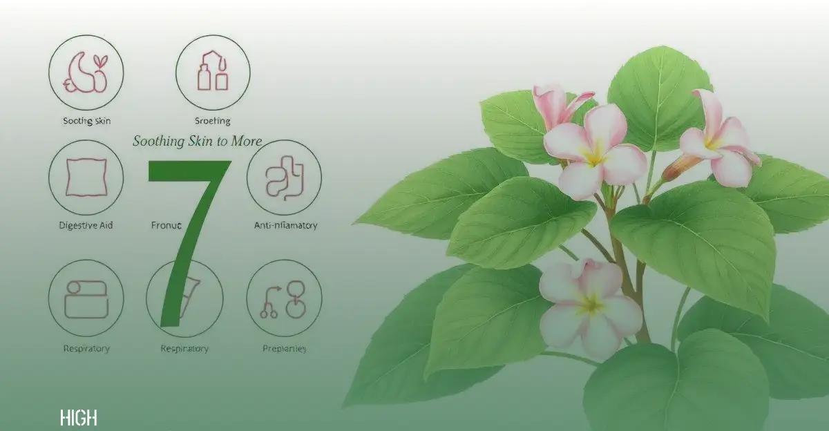 7 Althaea Officinalis Benefits: From Soothing Skin to More