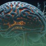 Neuropathy and the brain: understanding the connection to your health